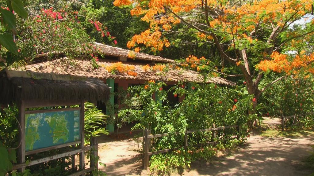 Pousada Tassimirim Velha Boipeba Exterior photo