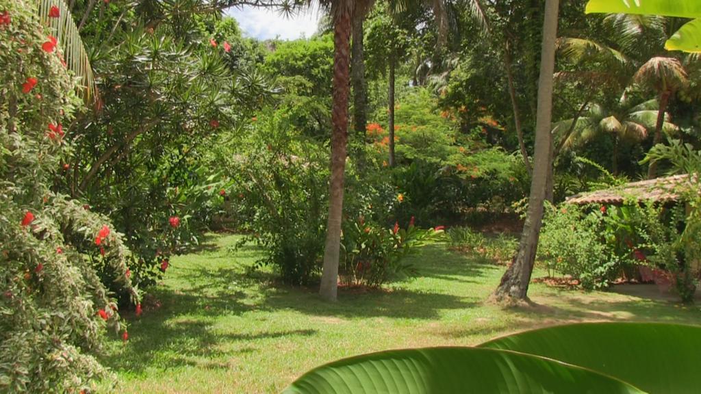 Pousada Tassimirim Velha Boipeba Exterior photo
